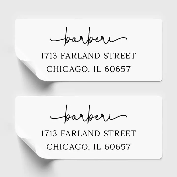 Isolated rectangular stickers Mockup Last Name Return Address Labels - Set of 30 - Image 1